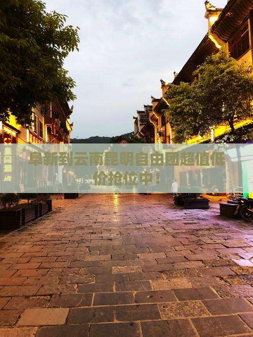 阜新到云南昆明自由团