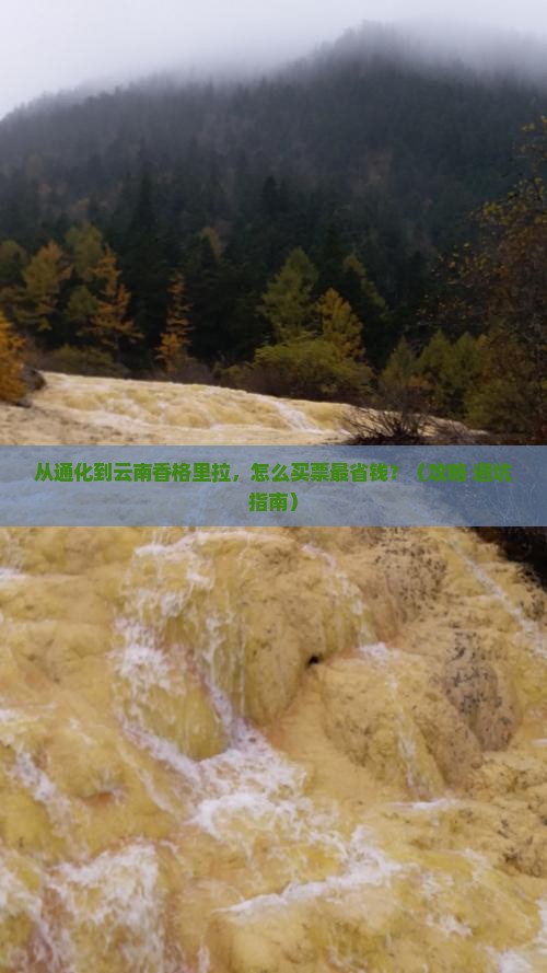 通化去云南香格里拉门票