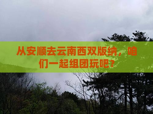 安顺到云南西双版纳团体旅游