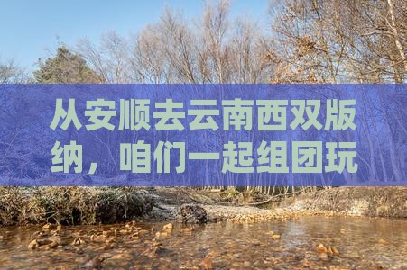 安顺到云南西双版纳团体旅游