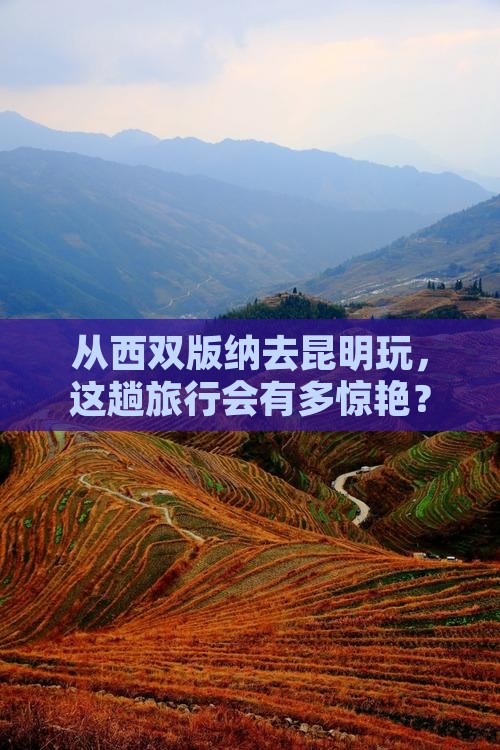 西双版纳到云南昆明旅游
