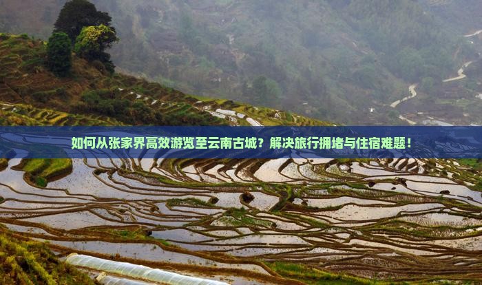 张家界到云南古城旅游