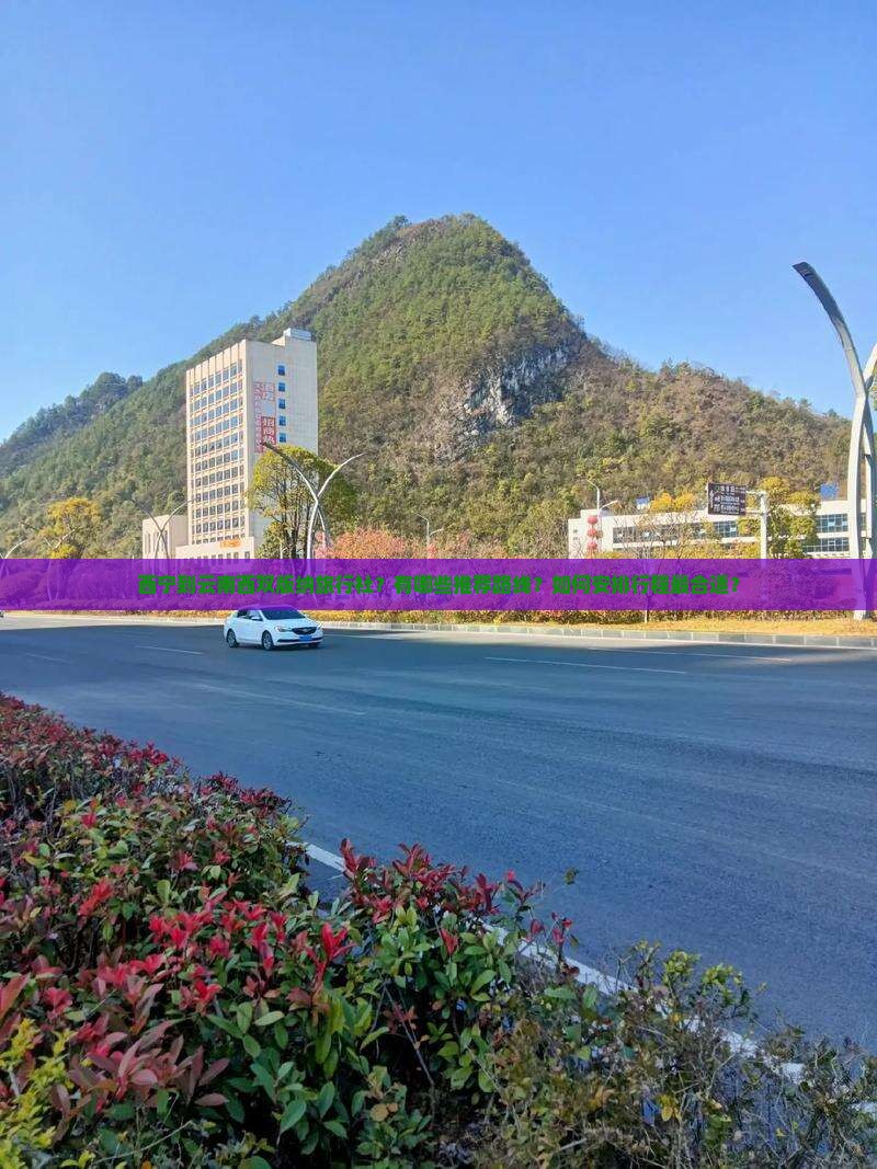 西宁到云南西双版纳旅行社