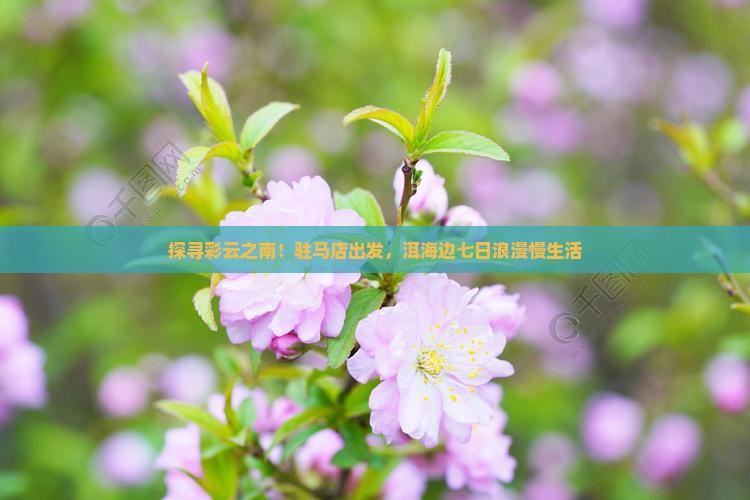 驻马店去云南洱海七日游