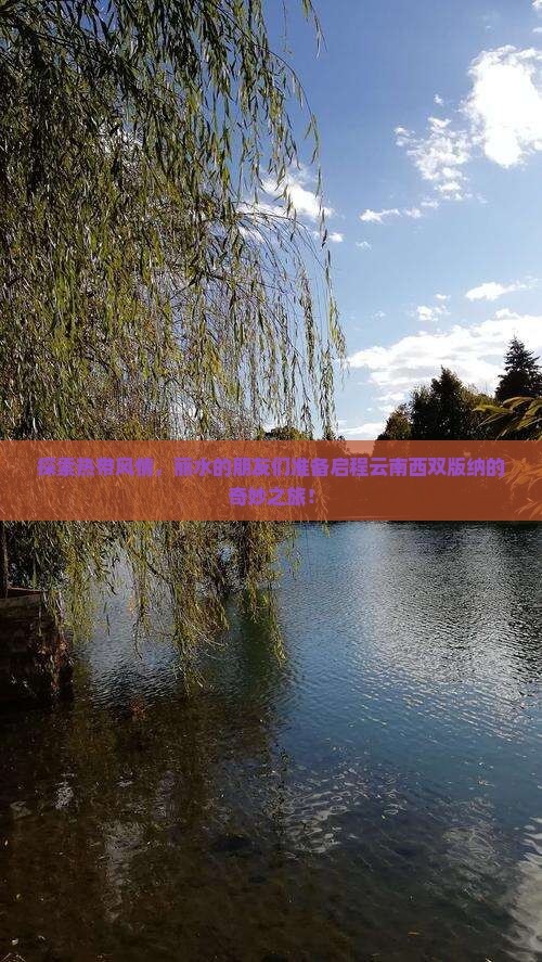 丽水到云南西双版纳团体旅游