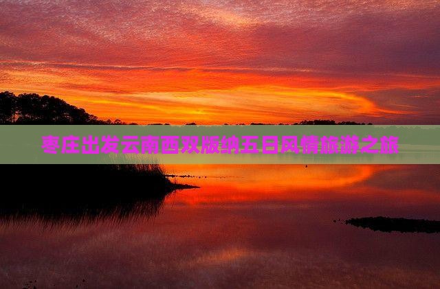 枣庄去云南西双版纳五日游