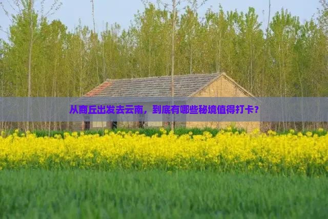商丘去云南哪里玩