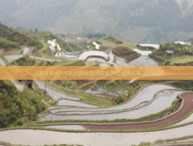泰州到云南昆明团体旅游