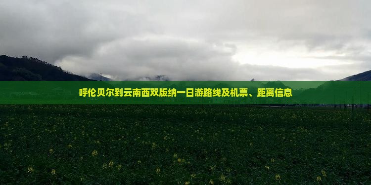 呼伦贝尔到云南西双版纳一日