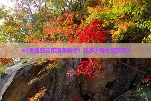 青岛到云南洱海景点