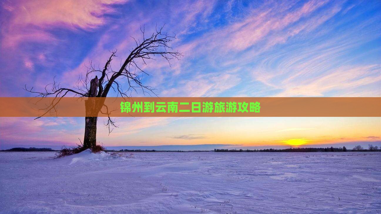 锦州去云南二日游