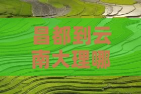 昌都到云南大理哪里玩