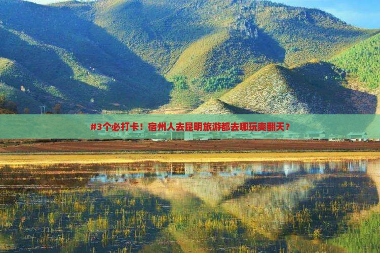 宿州去云南昆明哪里玩