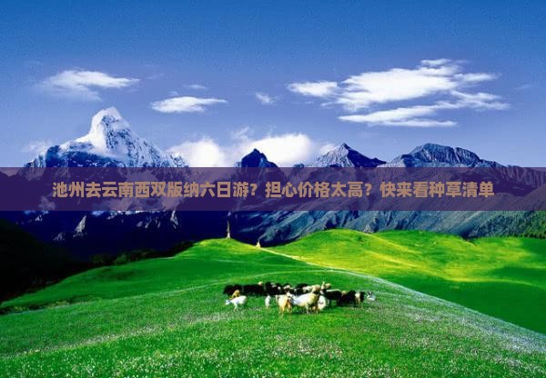 池州去云南西双版纳六日游
