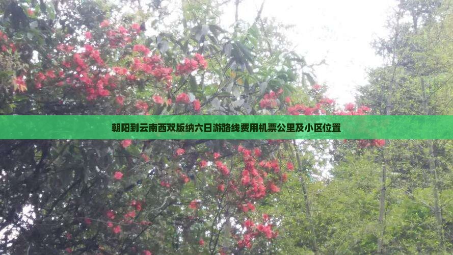 朝阳到云南西双版纳六日游