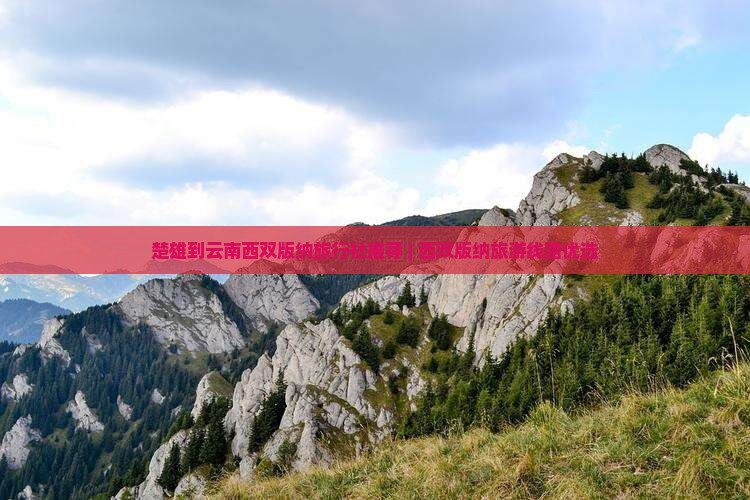 楚雄到云南西双版纳旅行社
