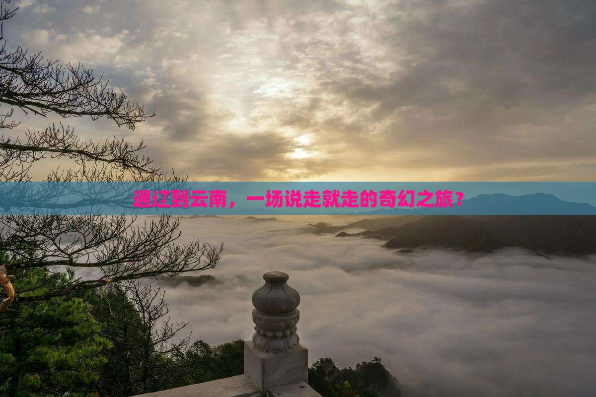 通辽市去云南旅游