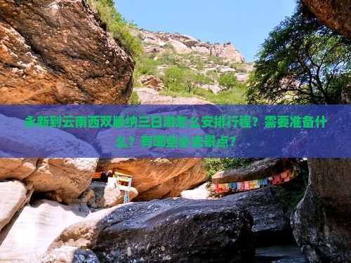 永新到云南西双版纳三日游
