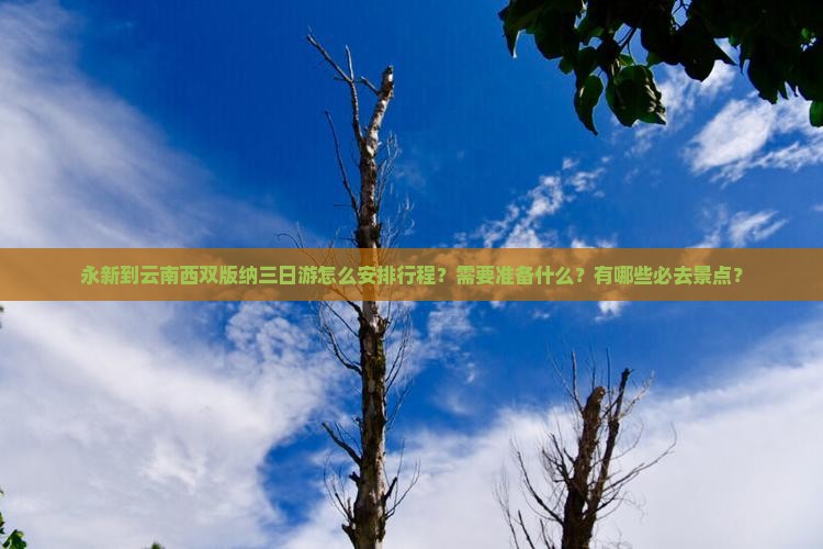 永新到云南西双版纳三日游