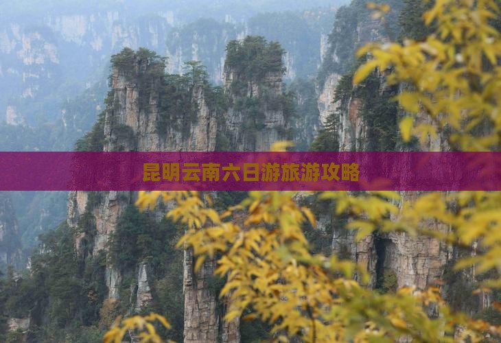 冬天到云南昆明六日游