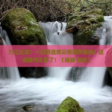 九江到云南西双版纳一日