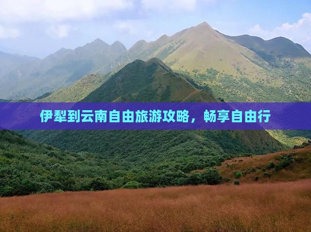 伊犁到云南自由行