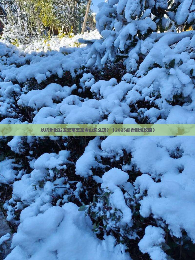 阿里去云南玉龙雪山哪里玩