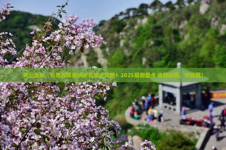 黄山去云南西双版纳必去地