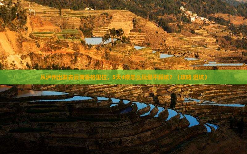 泸州到云南香格里拉旅游