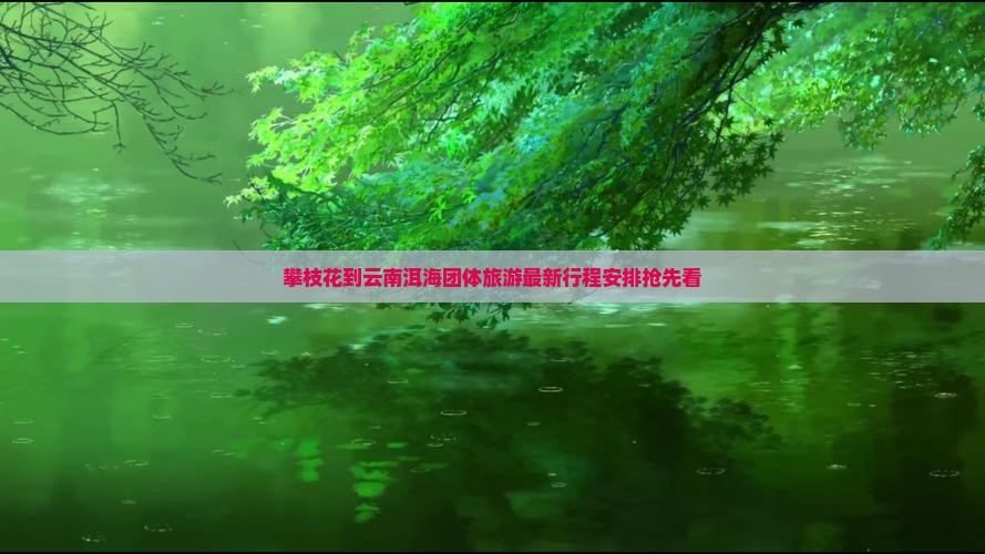攀枝花到云南洱海团体旅游