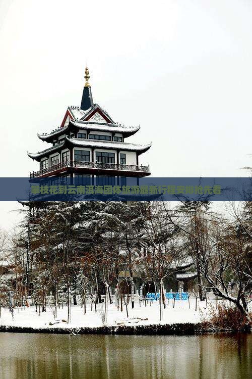 攀枝花到云南洱海团体旅游