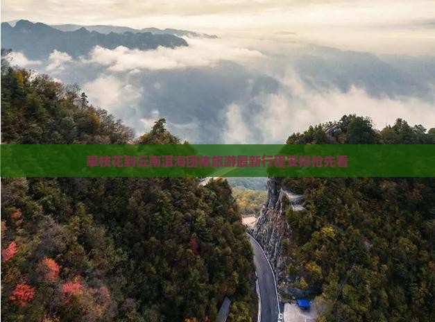 攀枝花到云南洱海团体旅游