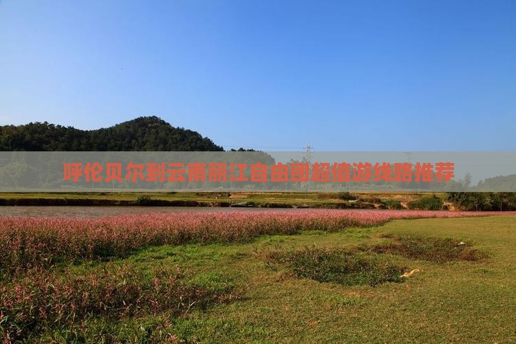 呼伦贝尔到云南丽江自由团