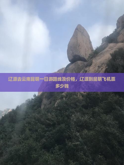 辽源去云南昆明一日