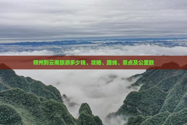 朔州到云南旅游