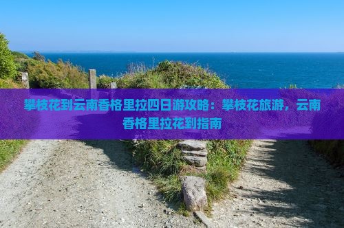攀枝花到云南香格里拉四日游
