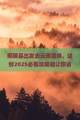 鄢陵县去云南温泉旅行社