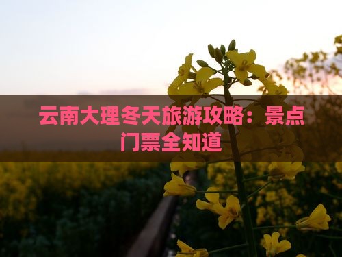 冬天到云南大理门票