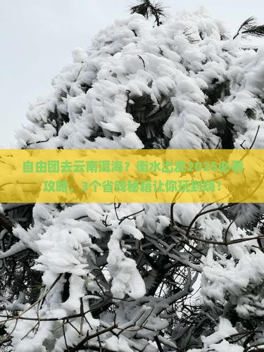 衡水到云南洱海自由团