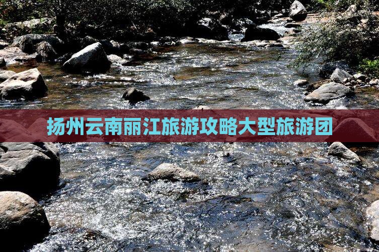 扬州去云南丽江大型旅游团