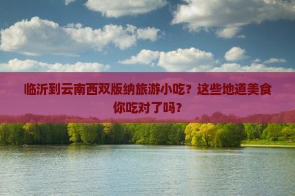 临沂到云南西双版纳旅游小吃