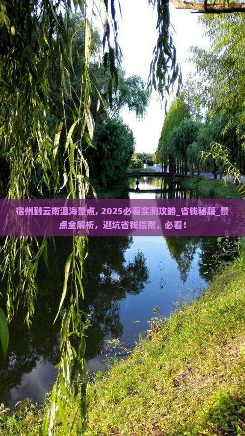 宿州到云南洱海景点