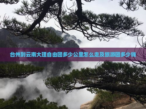 台州到云南大理自由团