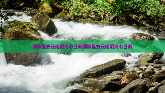 鄢陵县去云南洱海七日游