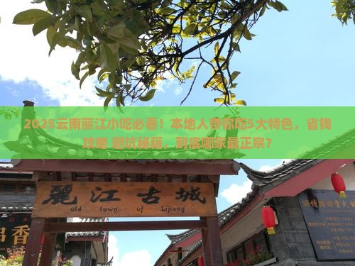 淮南去云南丽江旅游小吃