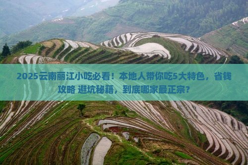 淮南去云南丽江旅游小吃