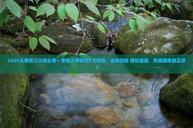 淮南去云南丽江旅游小吃