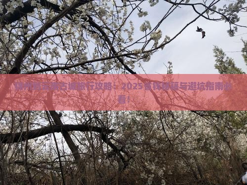 锦州到云南古城旅行社