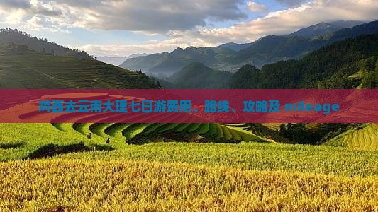 鸡西去云南大理七日游