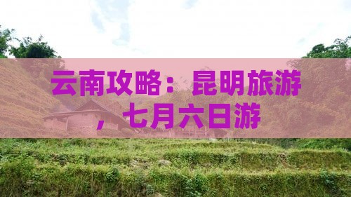 七月去云南昆明六日游